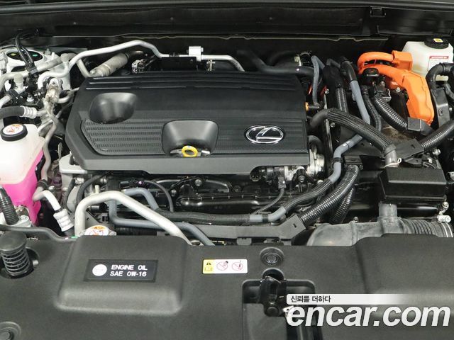 Lexus NX 2025 — photo 6