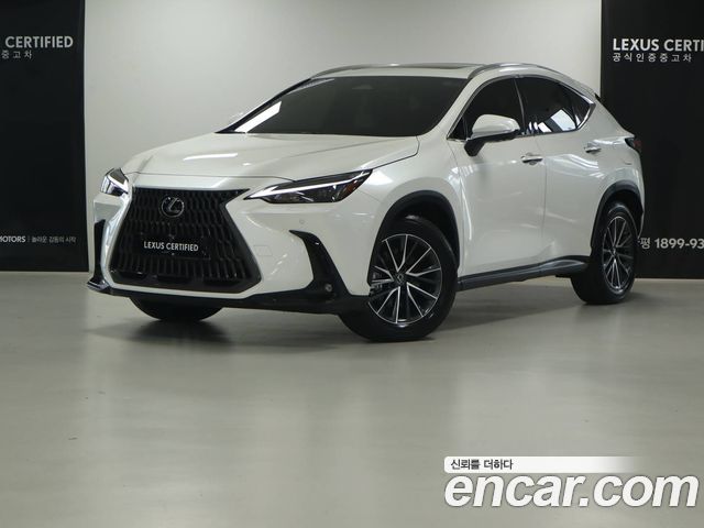 Lexus NX 2025 — photo 1