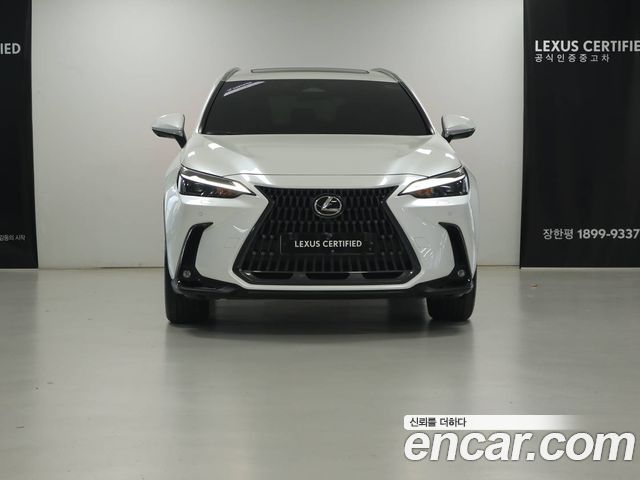 Lexus NX 2025 — photo 3