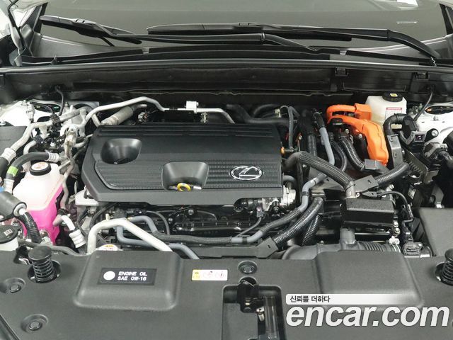 Lexus NX 2025 — photo 6