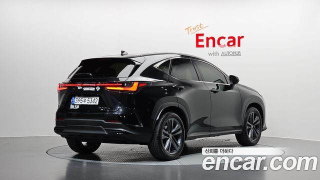 Lexus NX 2024 — photo 2