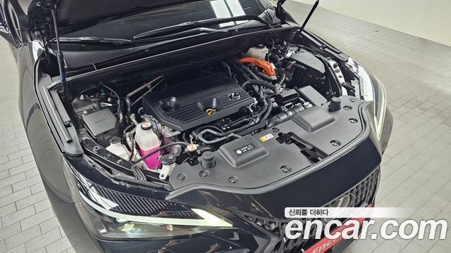 Lexus NX 2024 — photo 6