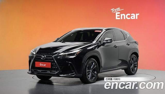 Lexus NX 2024 — photo 1