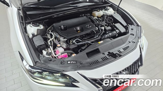 Lexus ES 2024 — photo 6