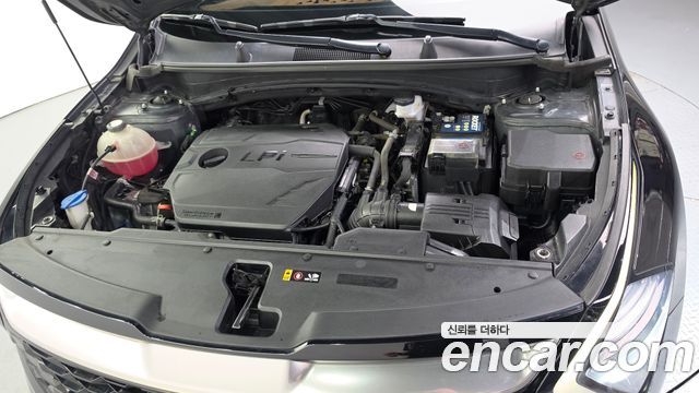 Kia Sportage 2024 — photo 6