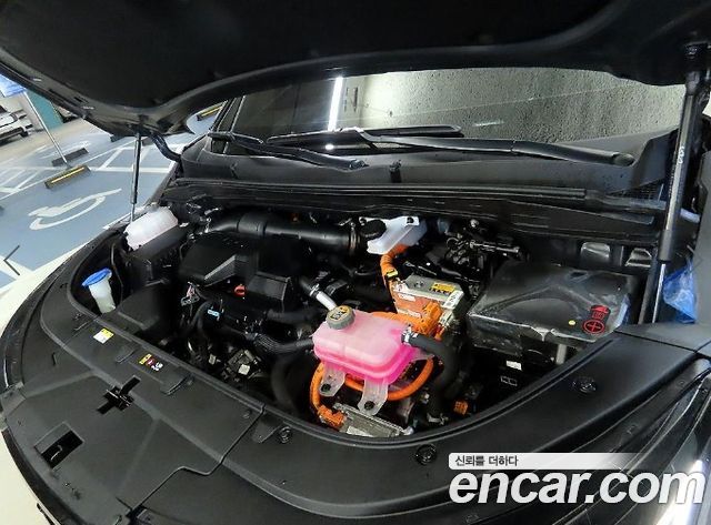 Kia Canival 2025 — photo 19