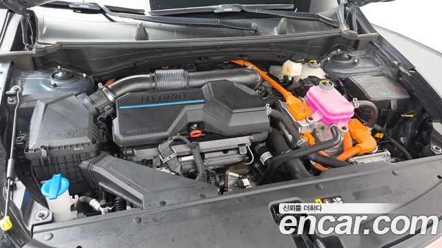 Kia Sportage 2023 — photo 6