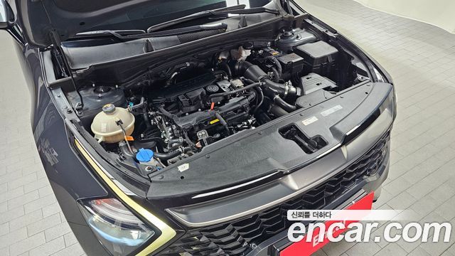 Kia Sportage 2024 — photo 6