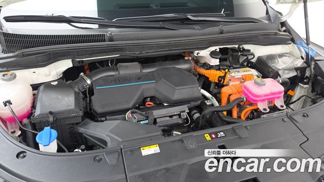 Kia Canival 2025 — photo 6