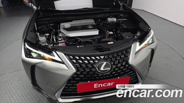 Lexus UX 2023 — photo 6