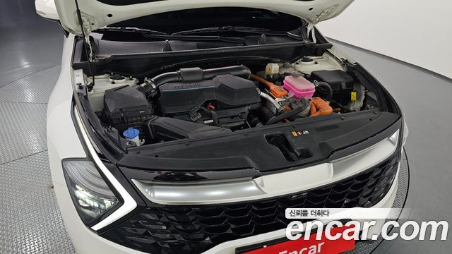 Kia Sportage 2024 — photo 6
