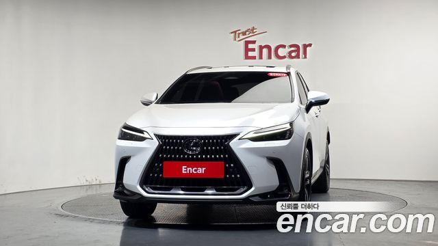 Lexus NX 2025 — photo 3
