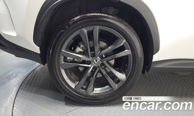 Lexus NX 2025 — photo 5