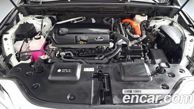 Lexus NX 2025 — photo 6