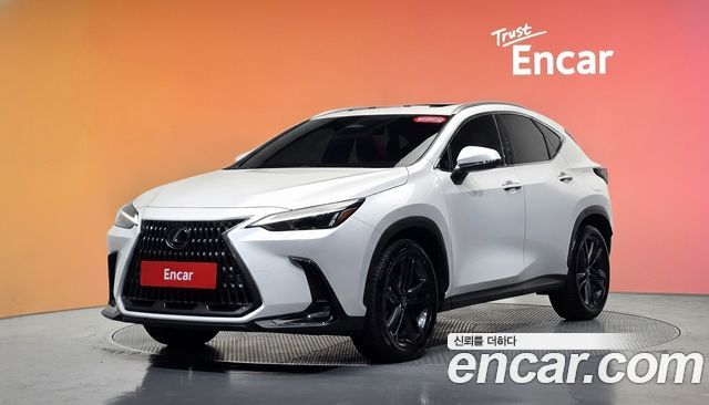 Lexus NX 2025 — photo 1