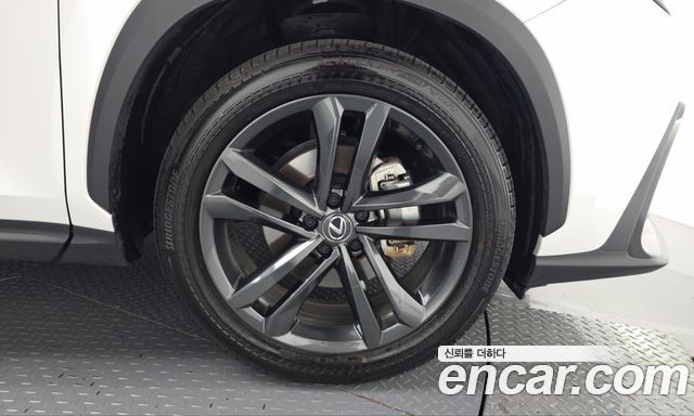 Lexus NX 2025 — photo 7