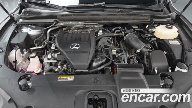 Lexus RX 2025 — photo 6
