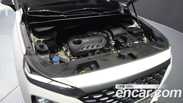 Hyundai Santafe 2019 — photo 6