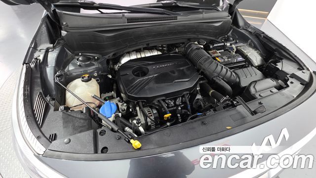 Kia Seltos 2023 — photo 6