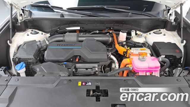 Hyundai Santafe 2024 — photo 6