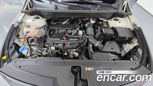 Kia Sportage 2023 — photo 6