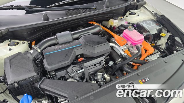 Kia Sportage 2024 — photo 6