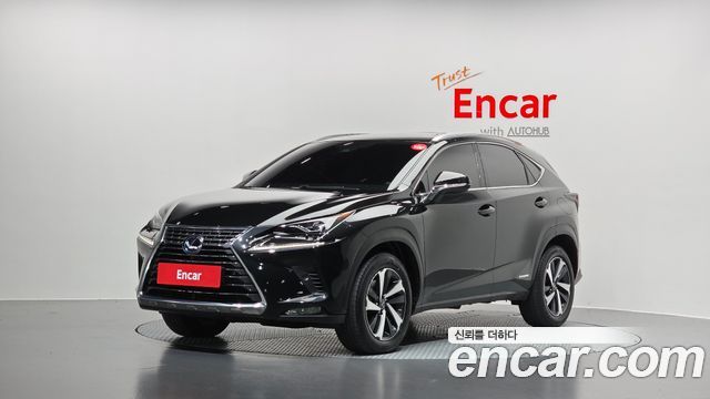 Lexus NX 2021 — photo 1
