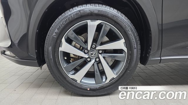 Lexus NX 2021 — photo 5