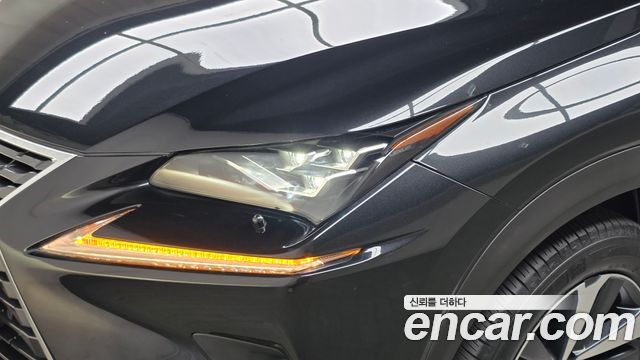 Lexus NX 2021 — photo 8