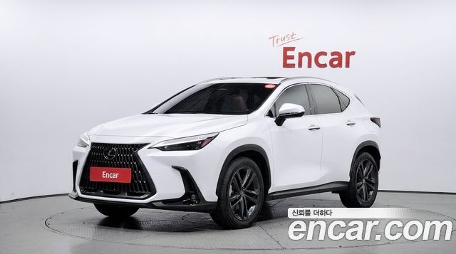 Lexus NX 2022 — photo 1
