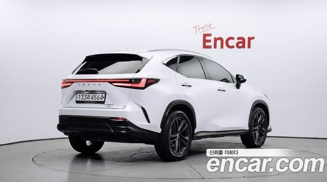 Lexus NX 2022 — photo 2