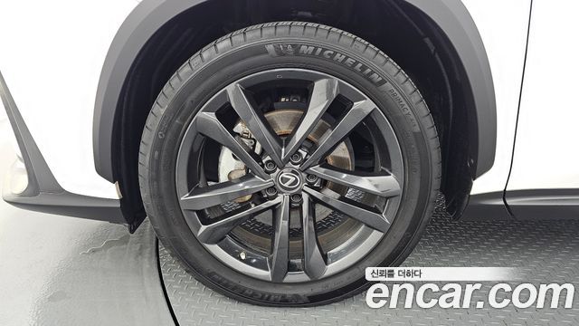 Lexus NX 2022 — photo 5