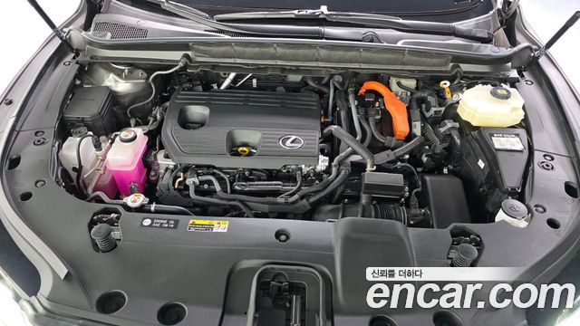 Lexus RX 2025 — photo 6