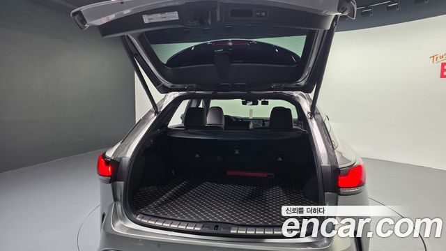 Lexus RX 2025 — photo 35