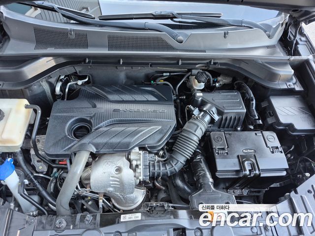 Renault Korea QM6 2017 — photo 19