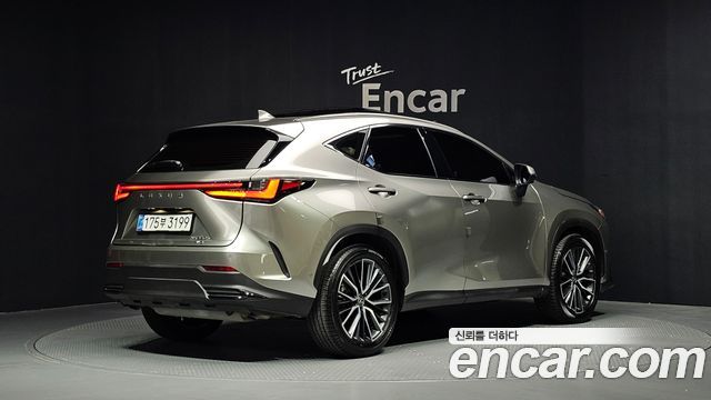 Lexus NX 2025 — photo 2