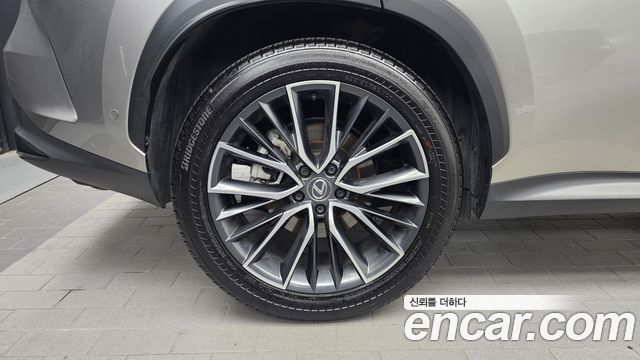 Lexus NX 2025 — photo 5