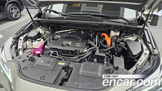 Lexus NX 2025 — photo 6