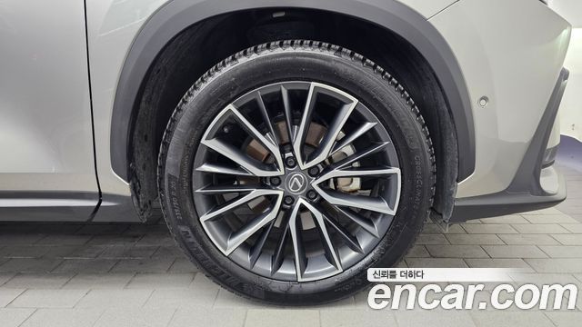 Lexus NX 2025 — photo 7