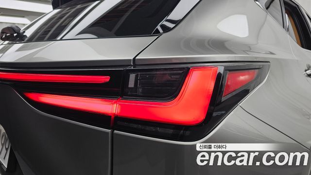 Lexus NX 2025 — photo 9