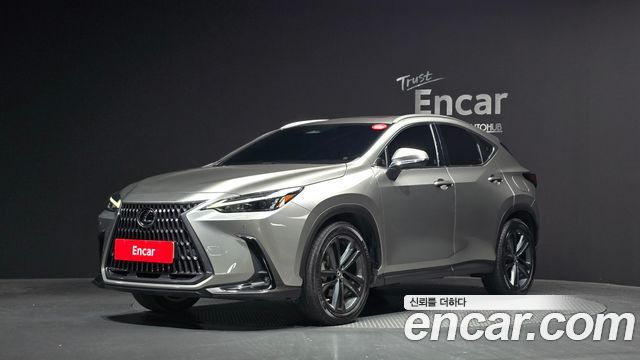 Lexus NX 2023 — photo 1