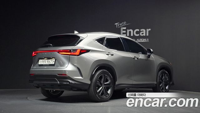 Lexus NX 2023 — photo 2