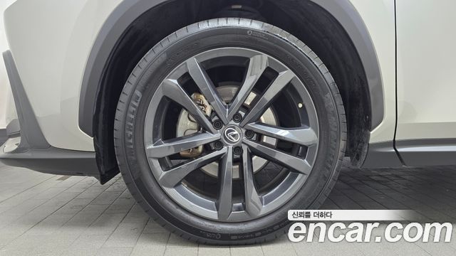 Lexus NX 2023 — photo 5