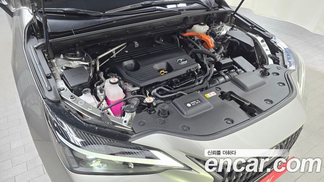 Lexus NX 2023 — photo 6