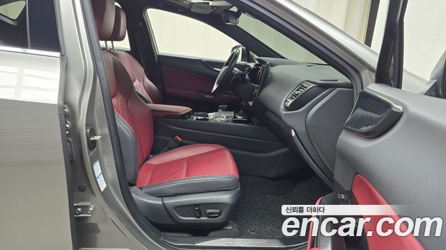 Lexus NX 2023 — photo 11