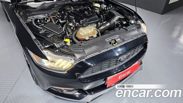 Ford Mustang 2016 — photo 6