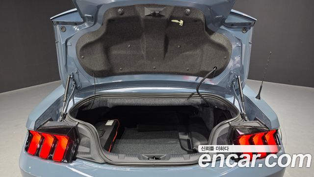 Ford Mustang 2024 — photo 26