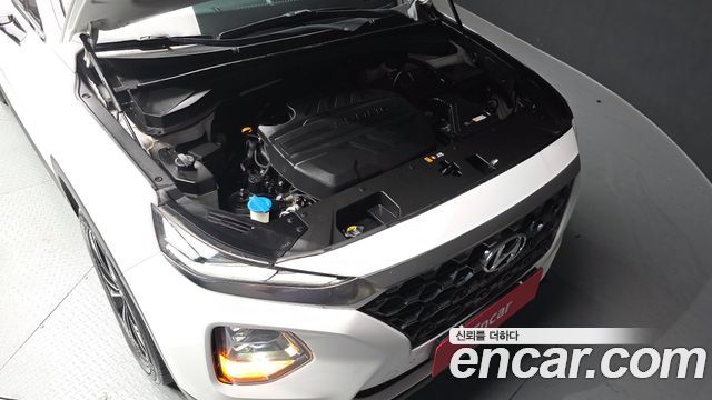 Hyundai Santafe 2019 — photo 6