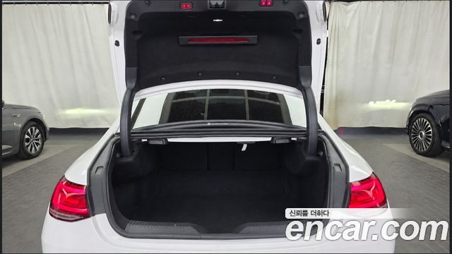 Mercedes-Benz CLS-Class 2019 — photo 20