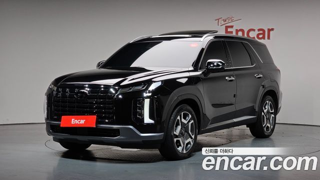 Hyundai Palisade 2024 — photo 1